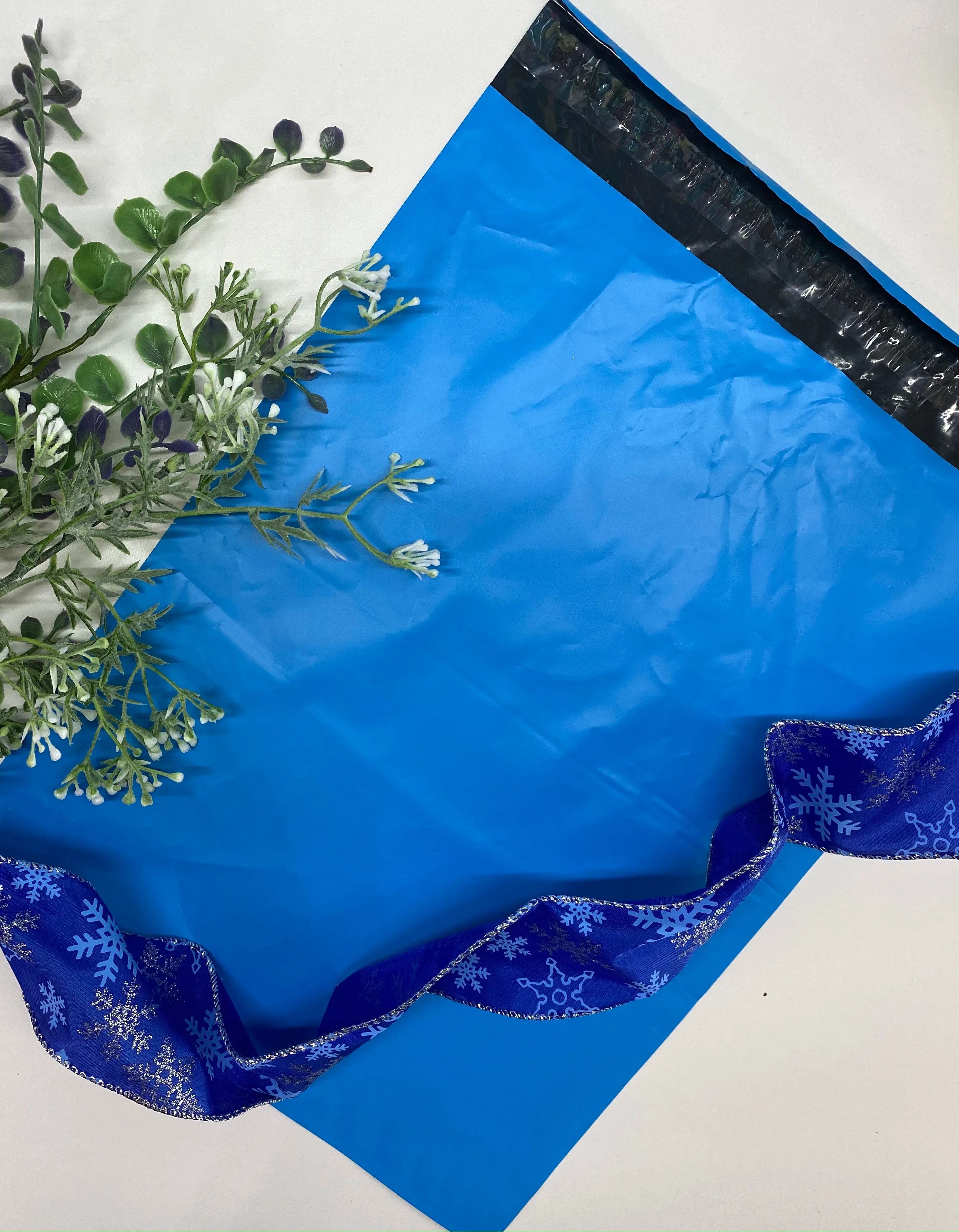 10 x 13 Poly Mailer