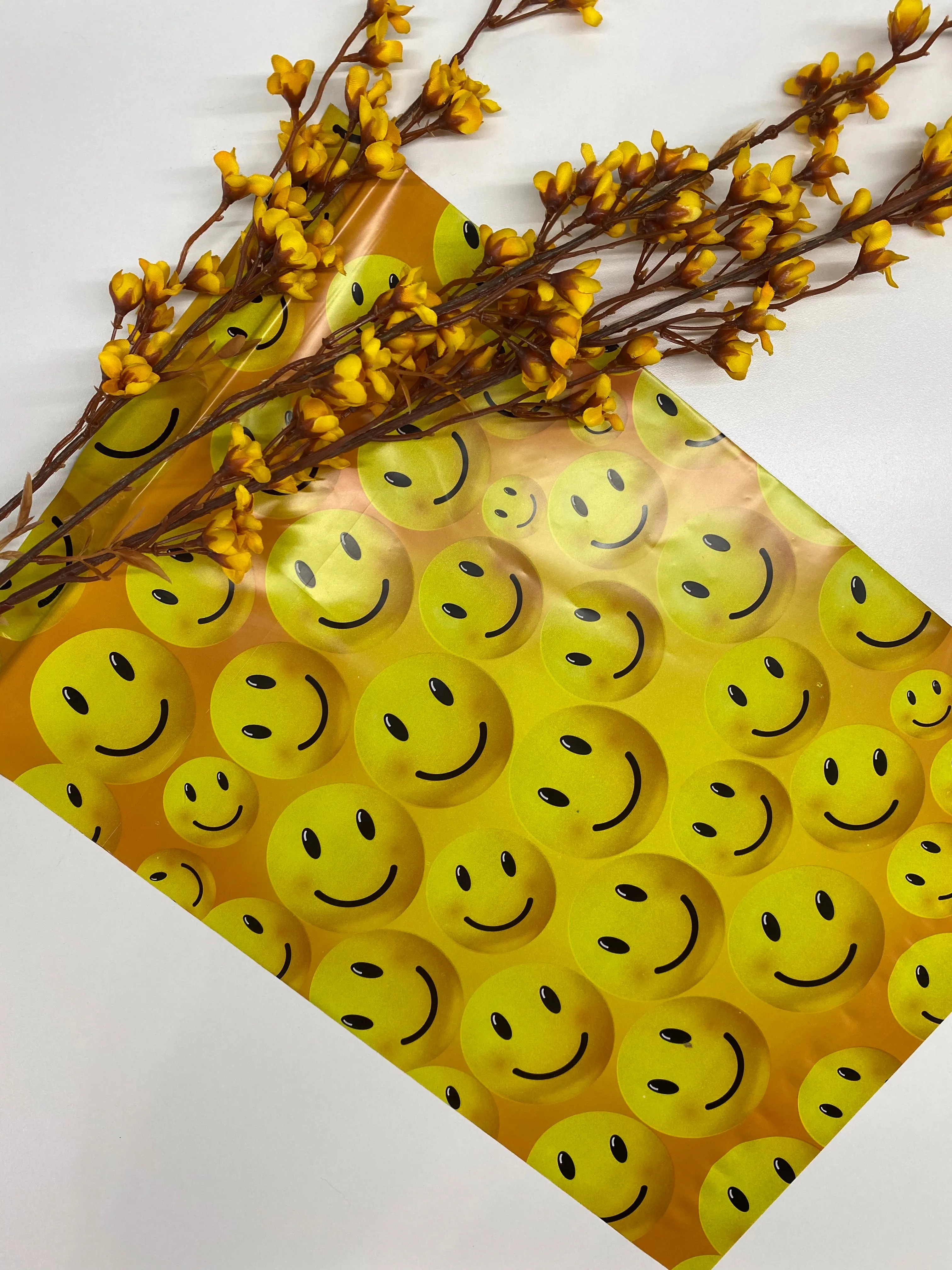 10 x 13 Poly Mailer