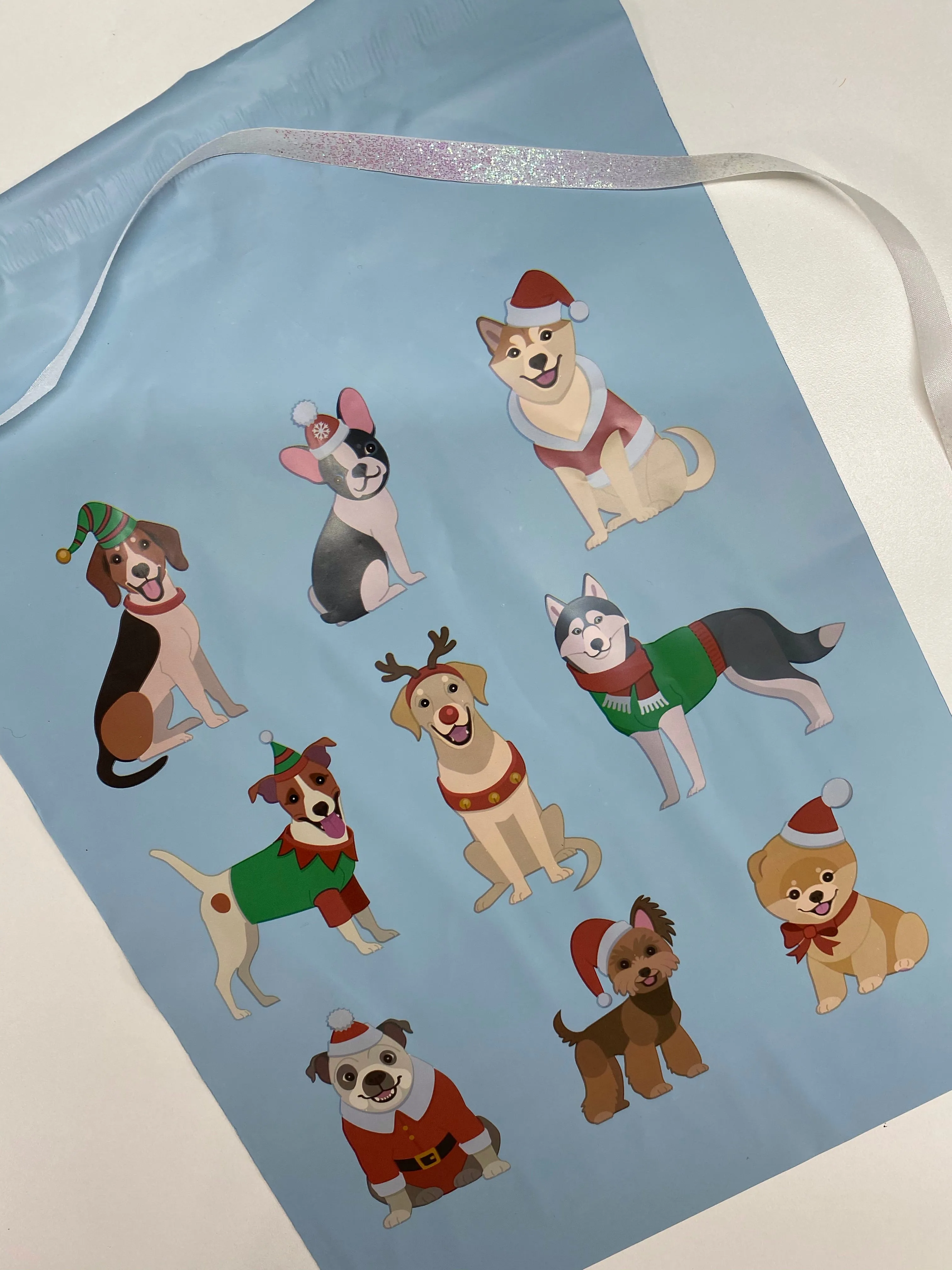 10 x 13 Poly Mailer