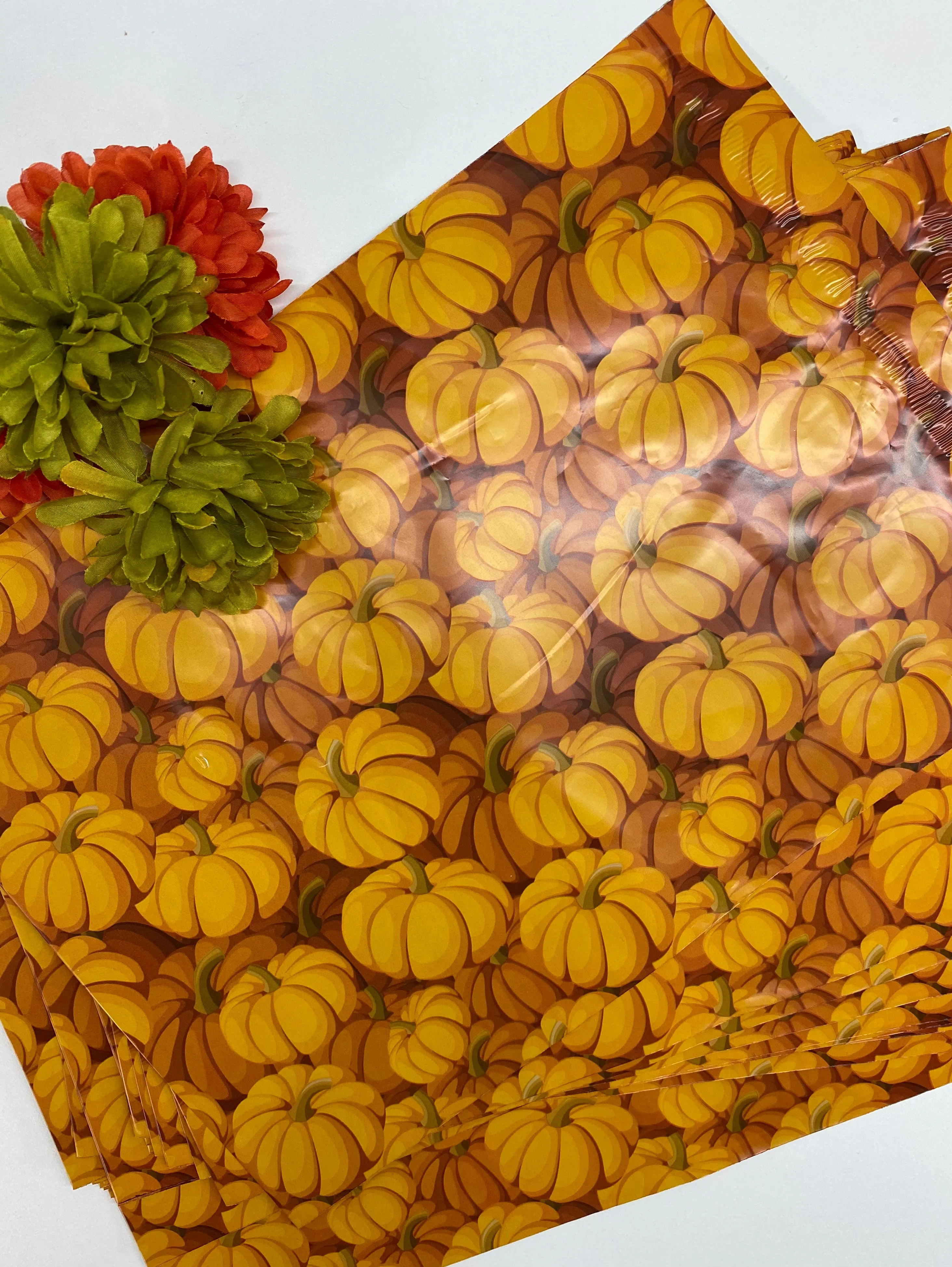 10 x 13 Poly Mailer