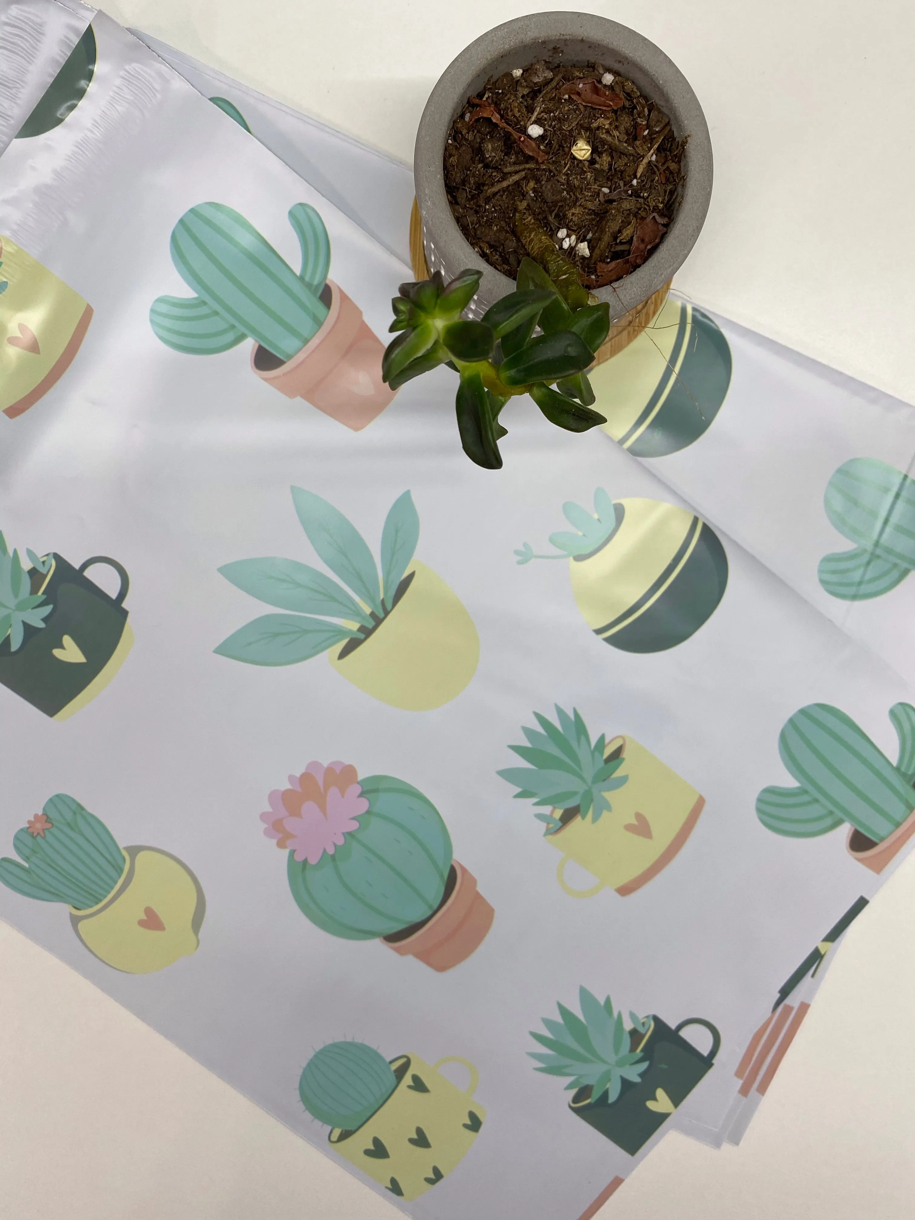 10 x 13 Poly Mailer