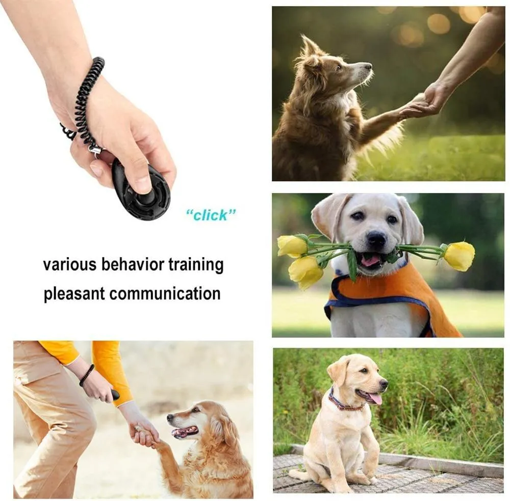 4-in-1 Dog Training Set | Reward, Train, Play