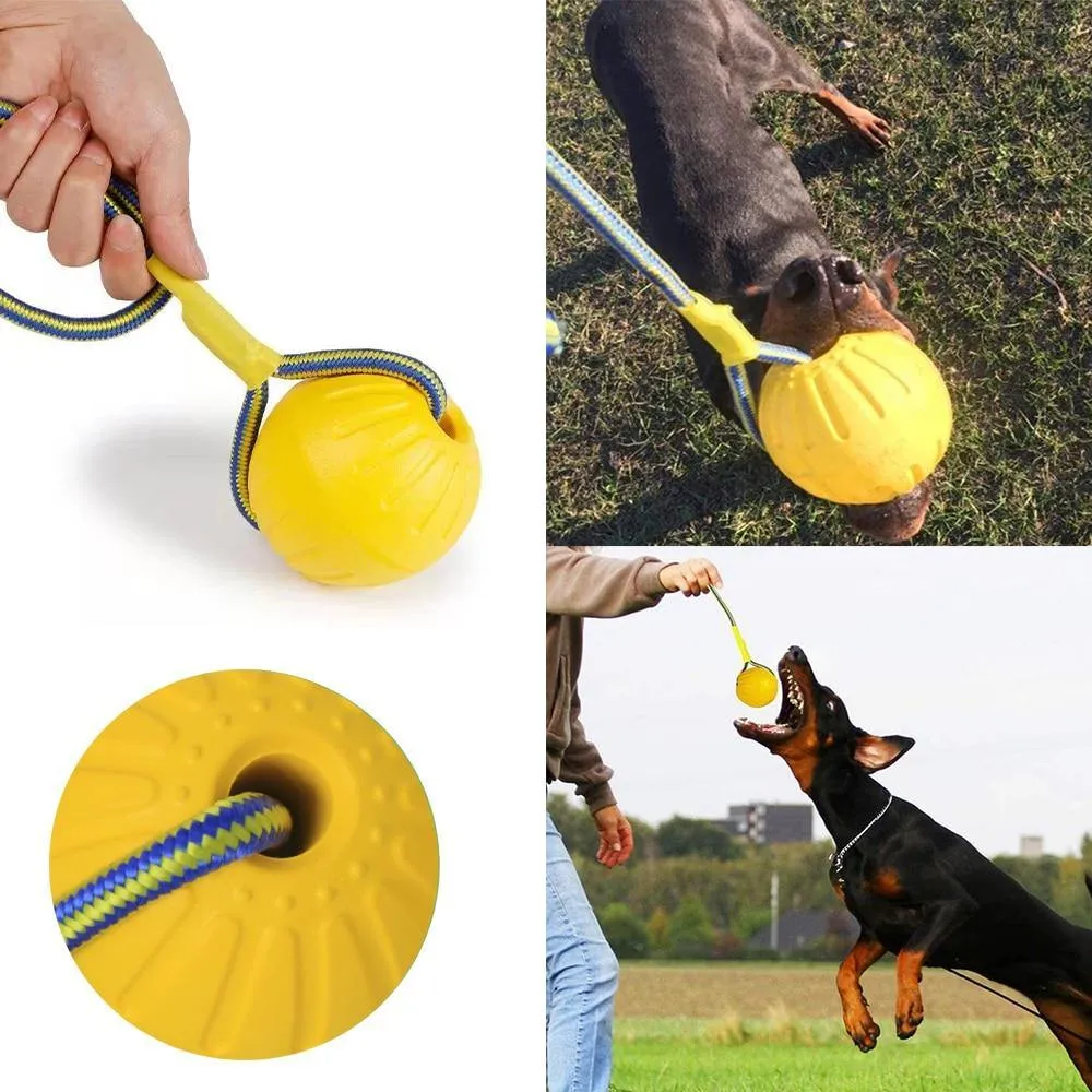 4-in-1 Dog Training Set | Reward, Train, Play