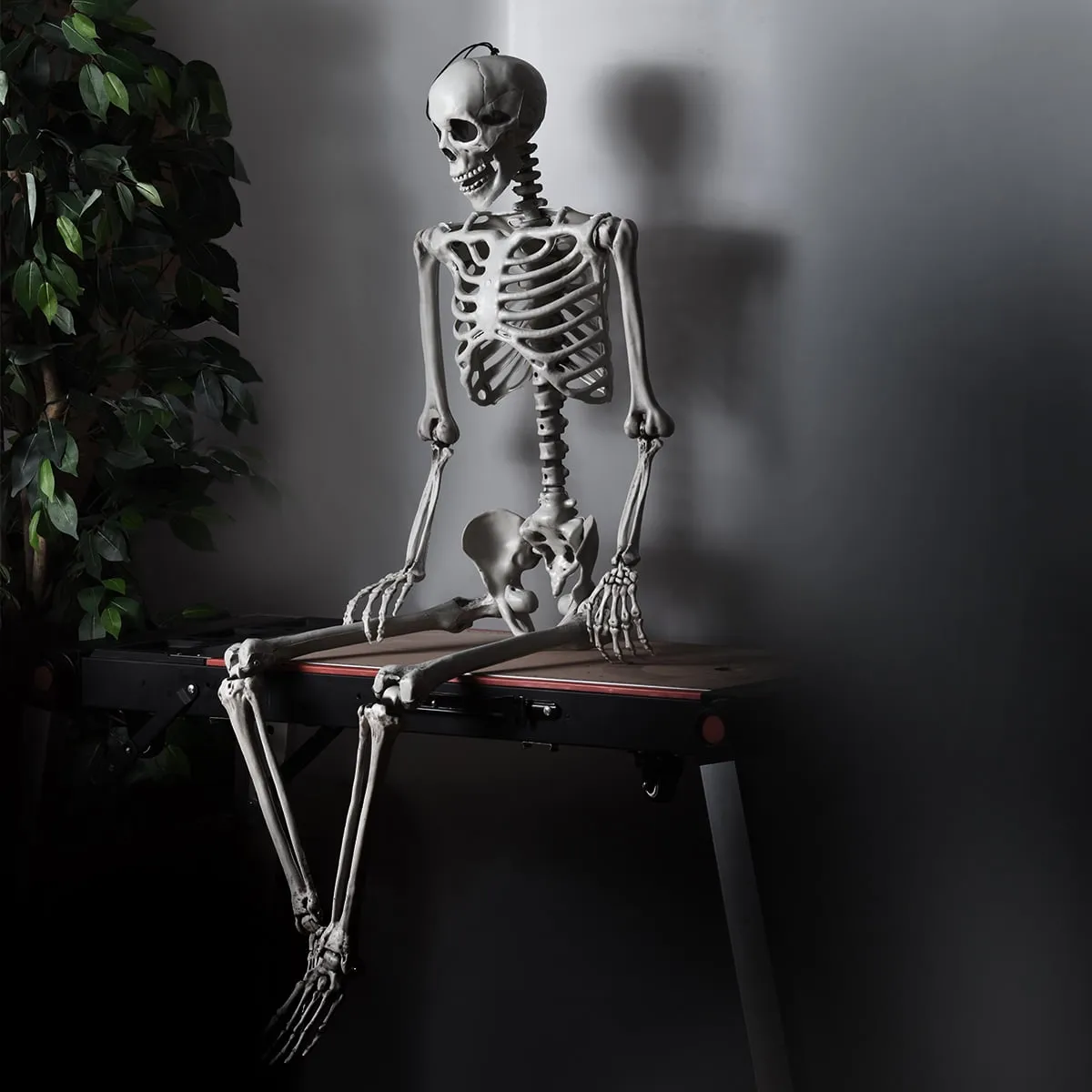 5.4ft Halloween Skeleton Life Size Realistic Full Body Hanging w/ Movable Joints