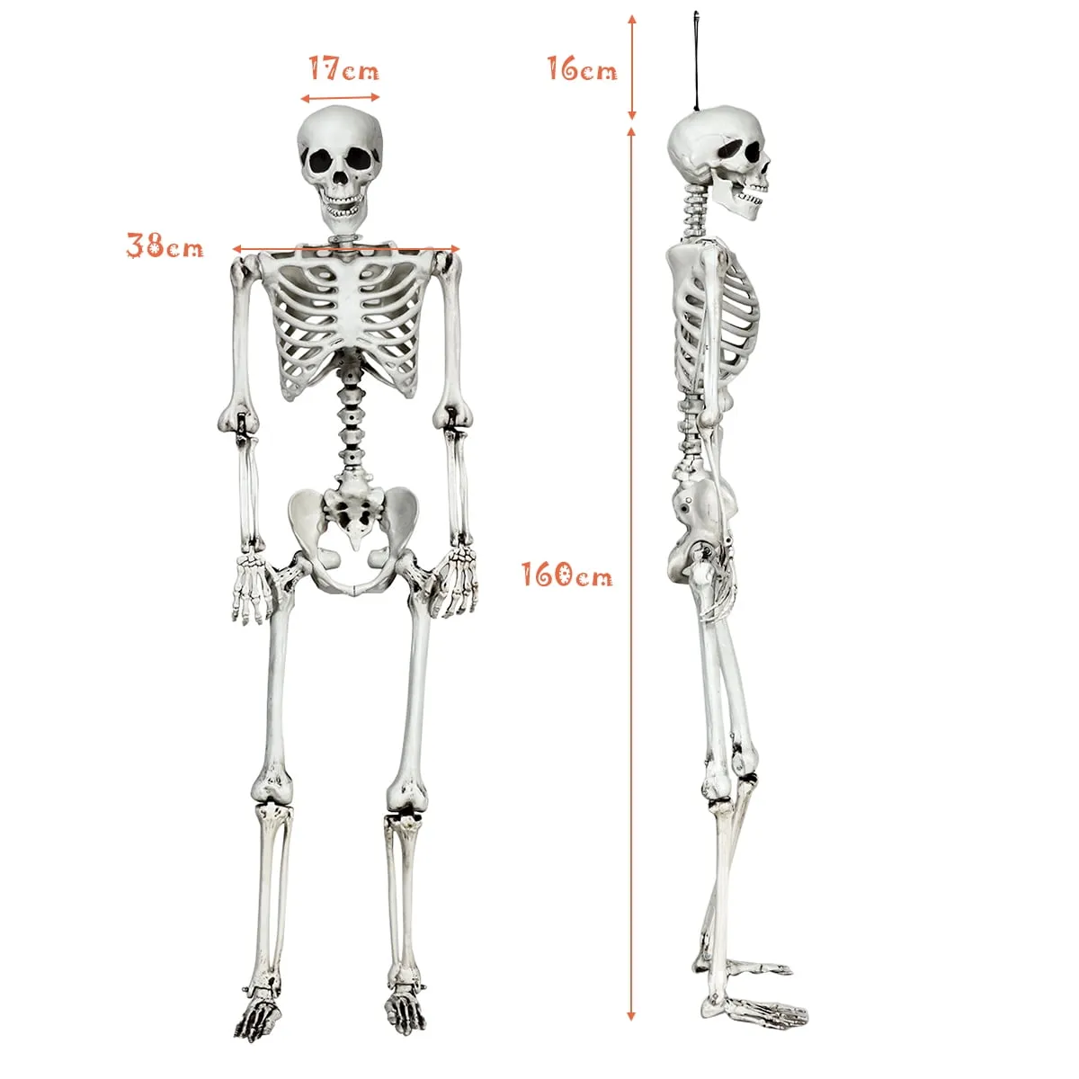 5.4ft Halloween Skeleton Life Size Realistic Full Body Hanging w/ Movable Joints
