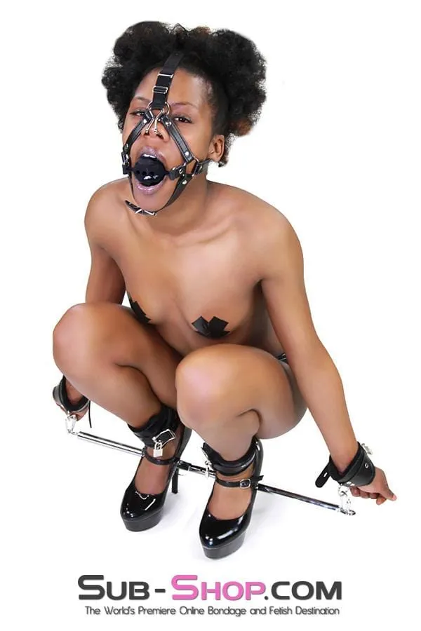7710HS      Adjustable Bondage Spreader Bar, Chrome