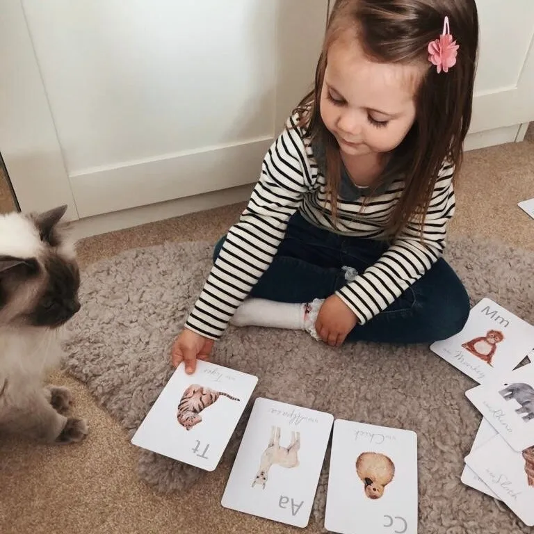 Alphabet Animal Flashcards