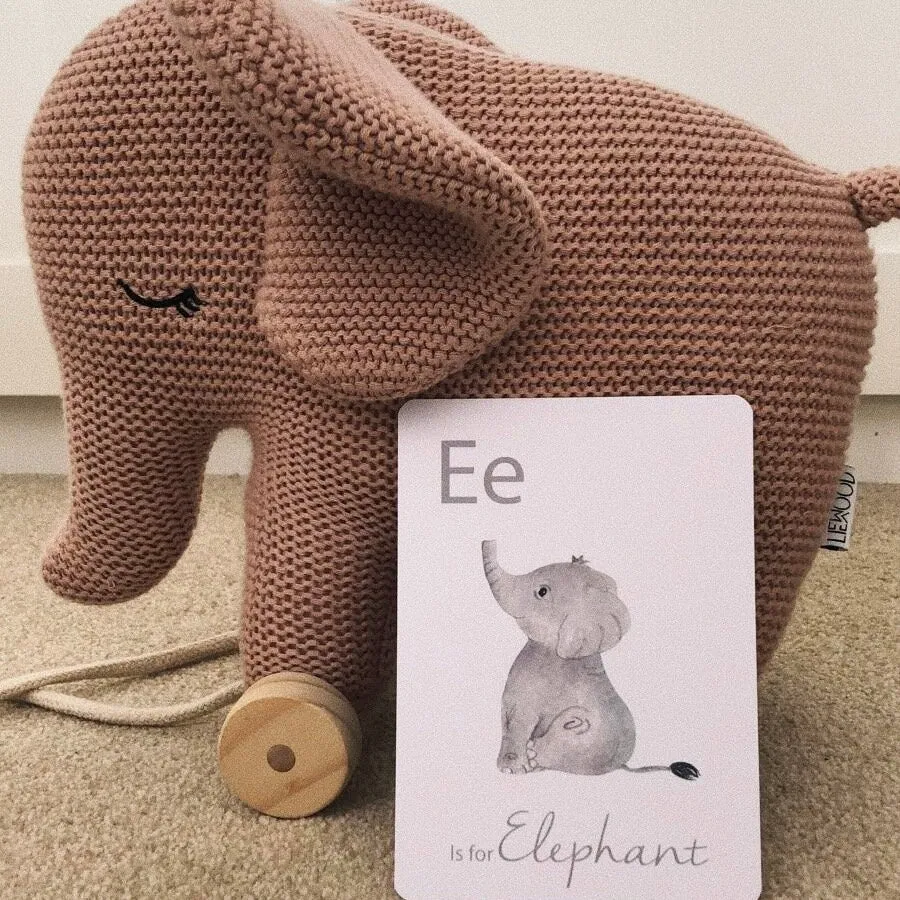 Alphabet Animal Flashcards