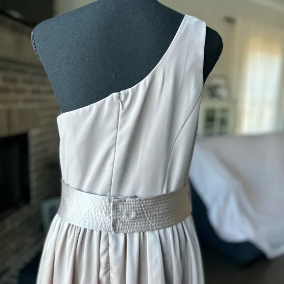 Biscotti Vera Wang One Shoulder Dress 10 Formal Bridesmaid Wedding Guest