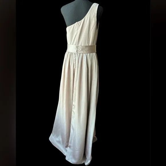 Biscotti Vera Wang One Shoulder Dress 10 Formal Bridesmaid Wedding Guest