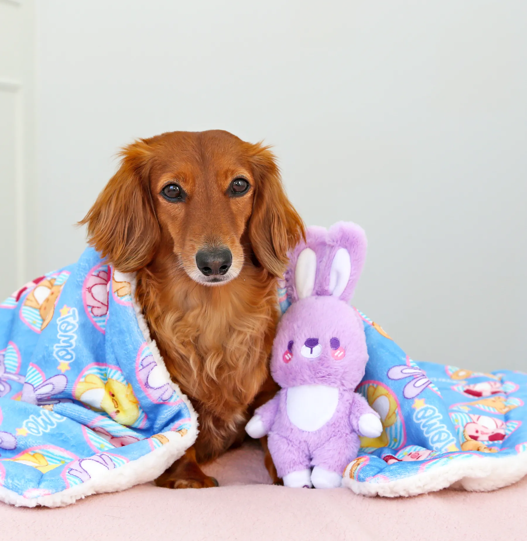 Blankies - Tomo besties ✦RARE✦