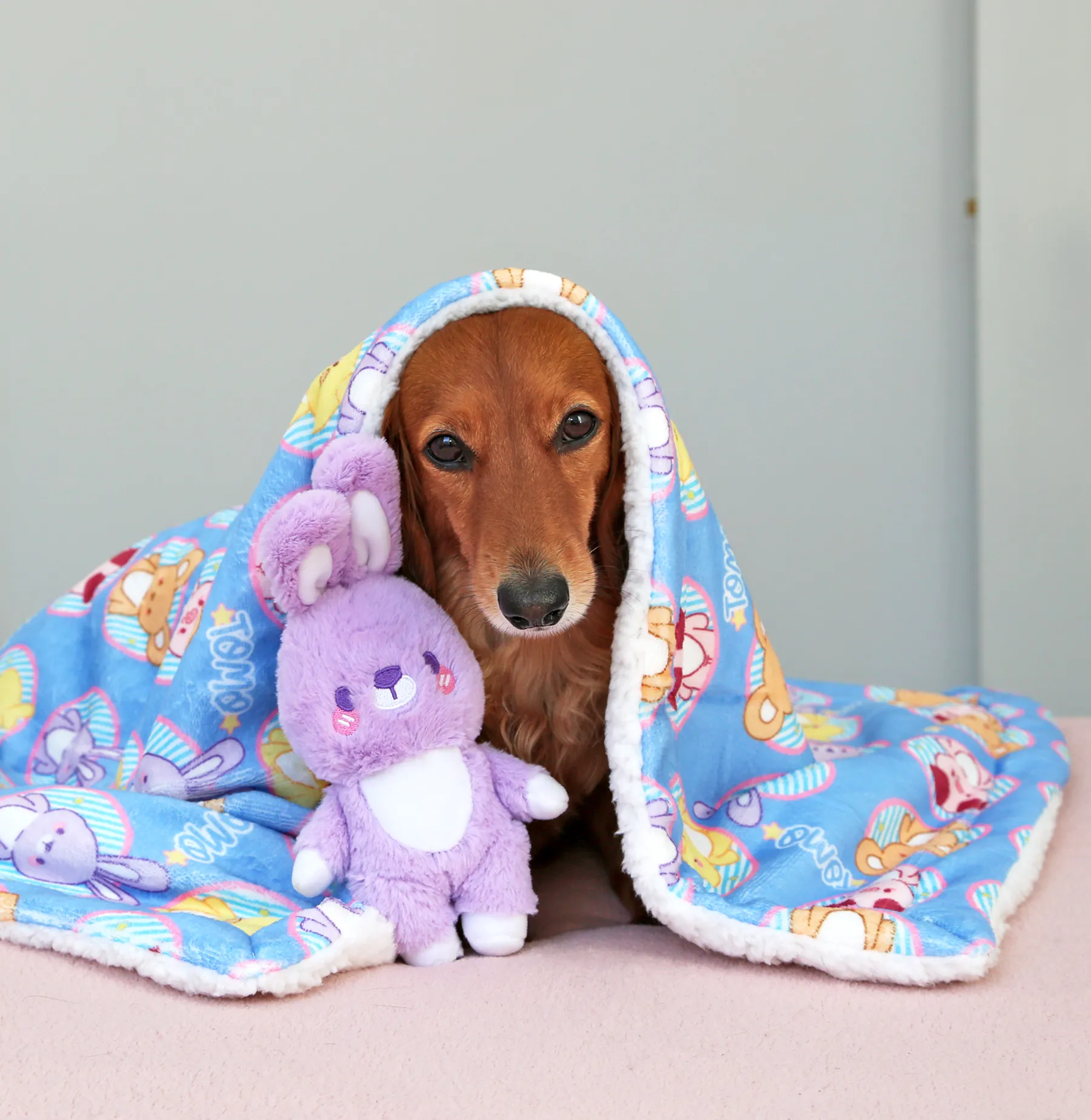 Blankies - Tomo besties ✦RARE✦