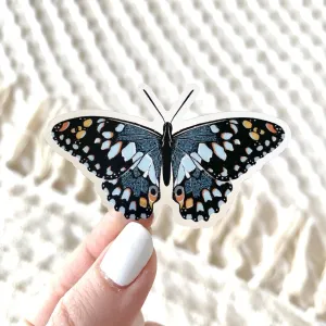 Blue Butterfly Sticker