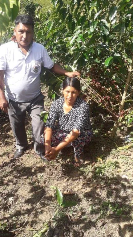 Bolivia Microlot: Humberto Mamani -San Ignacio. Available at Continental (NJ) & Salisbury,  NEW FARMER!