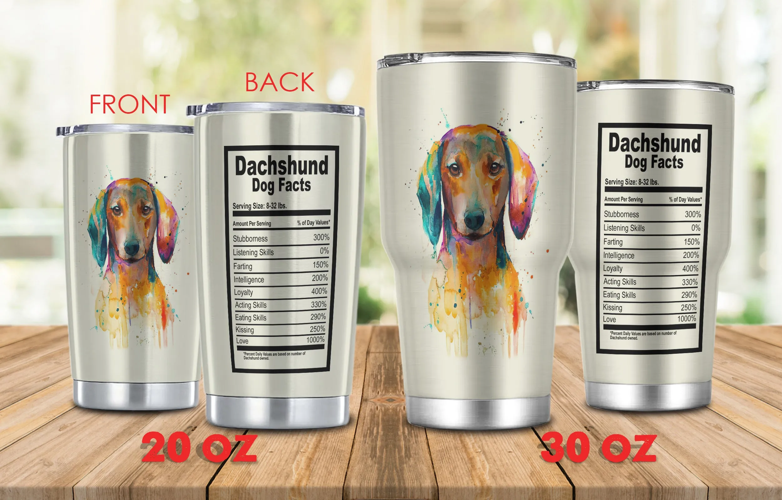 Boom - Tumbler - Dachshund Dog Facts