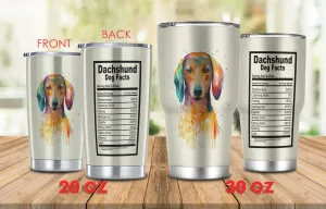 Boom - Tumbler - Dachshund Dog Facts