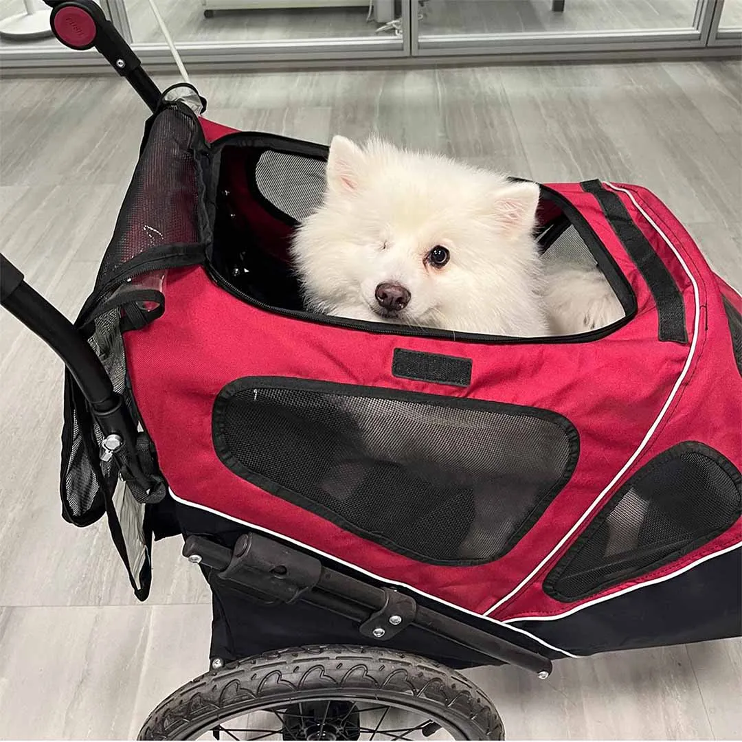 Buddies on the Go! Pet Trailer 2-in-1 | Supports Up To 30kg
