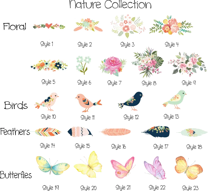 Build Your Own Nature Collection