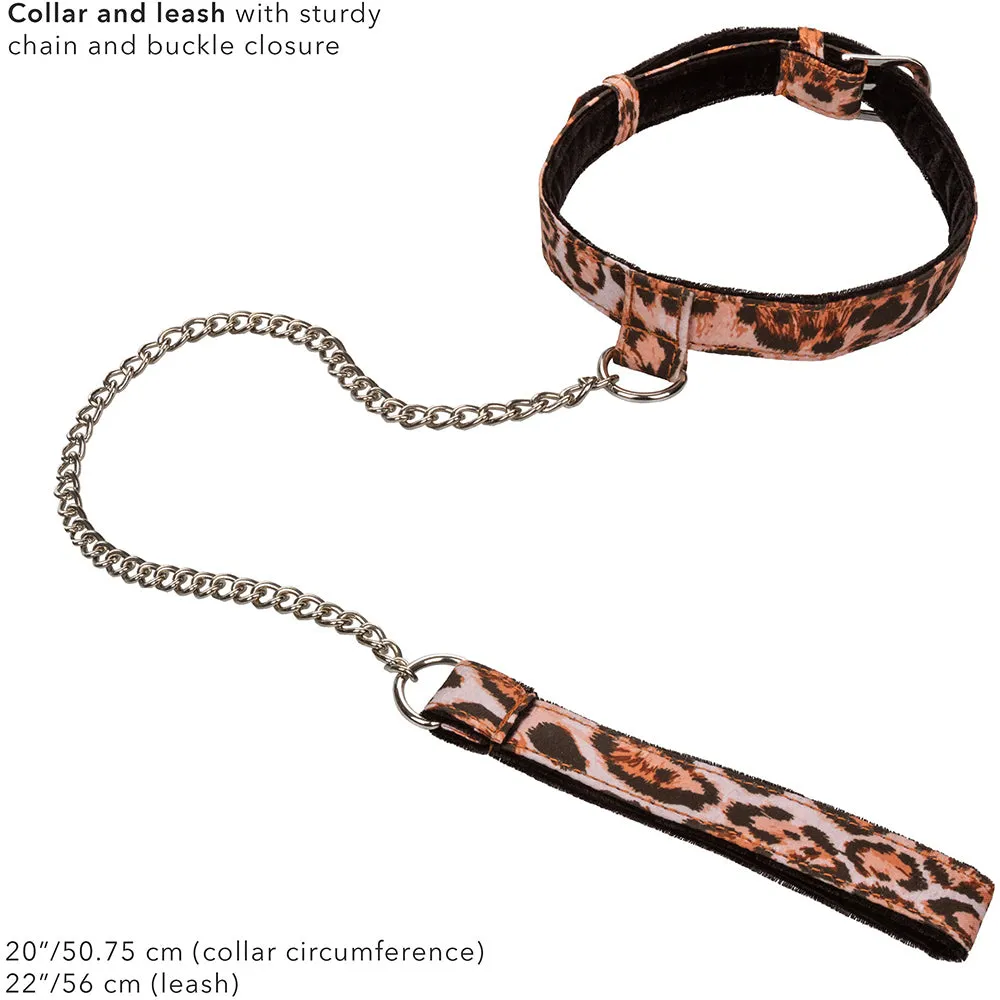 CalExotics Unleashed Adventure Set