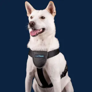 Carsafe Dog Travel Harness Small