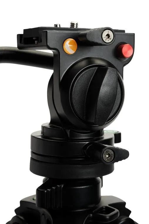 Celestron Tripod, Regal Premium  - 82052