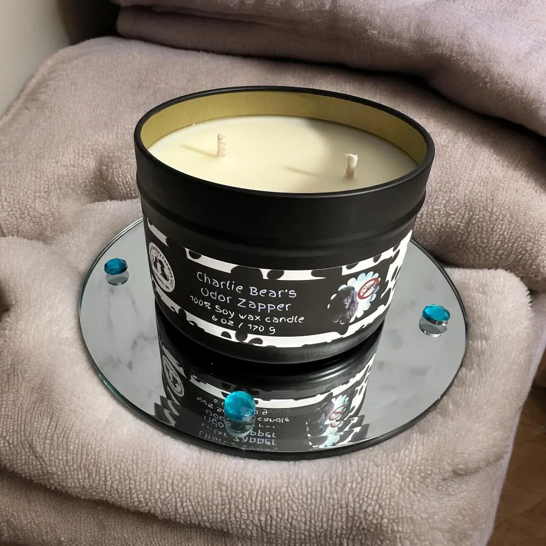 Charlie Bear's Odor Zapper Candle,  U.S. Handmade Scented Soy Candle, Odor Eliminator, Clean Burn, Fresh Linen Scent, Gift for Friend Mom Dad Co-Worker