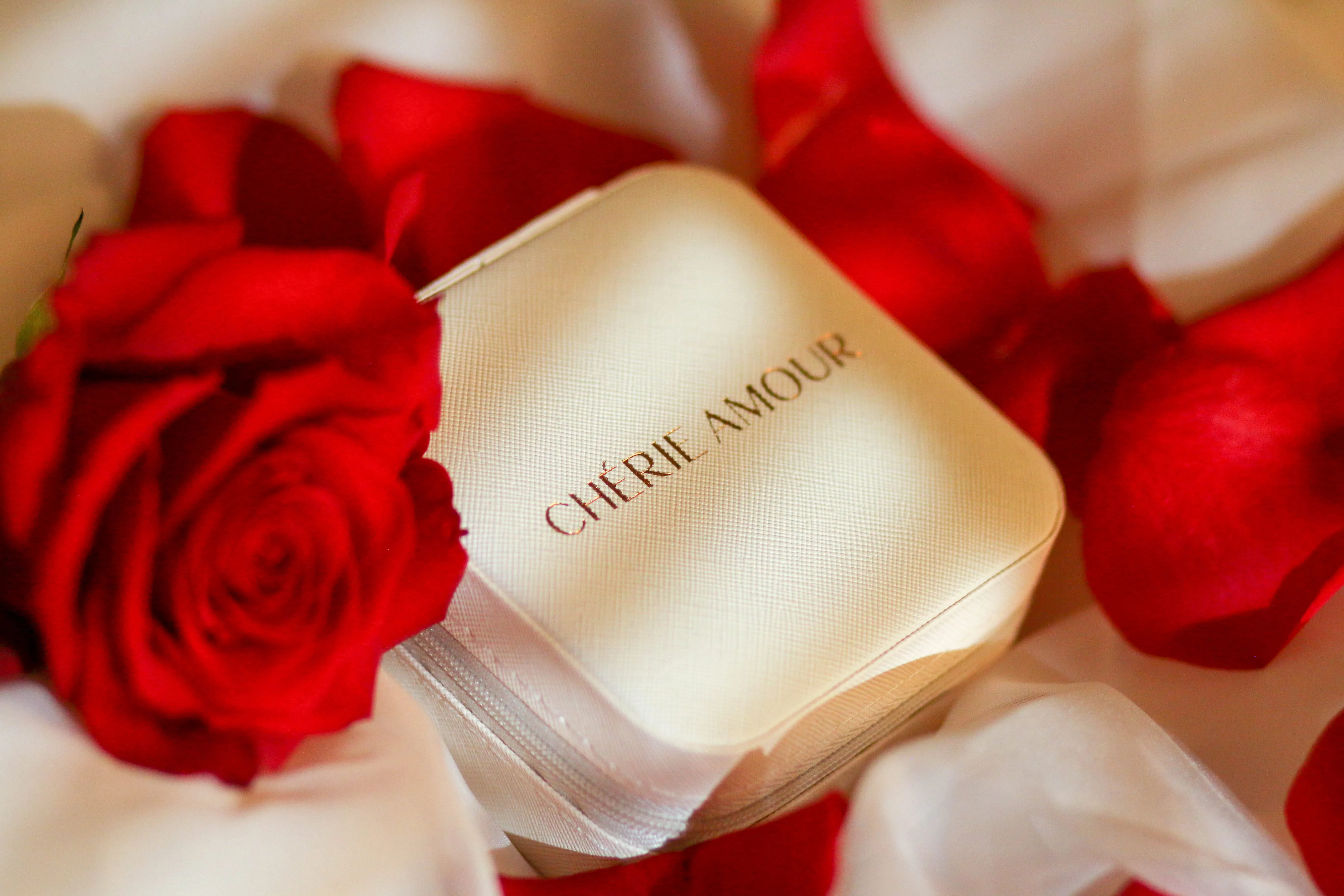 Cherie Amour Travel Jewelry Box