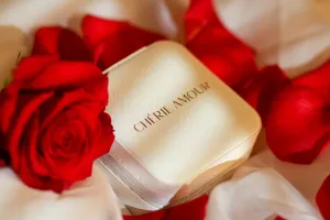 Cherie Amour Travel Jewelry Box
