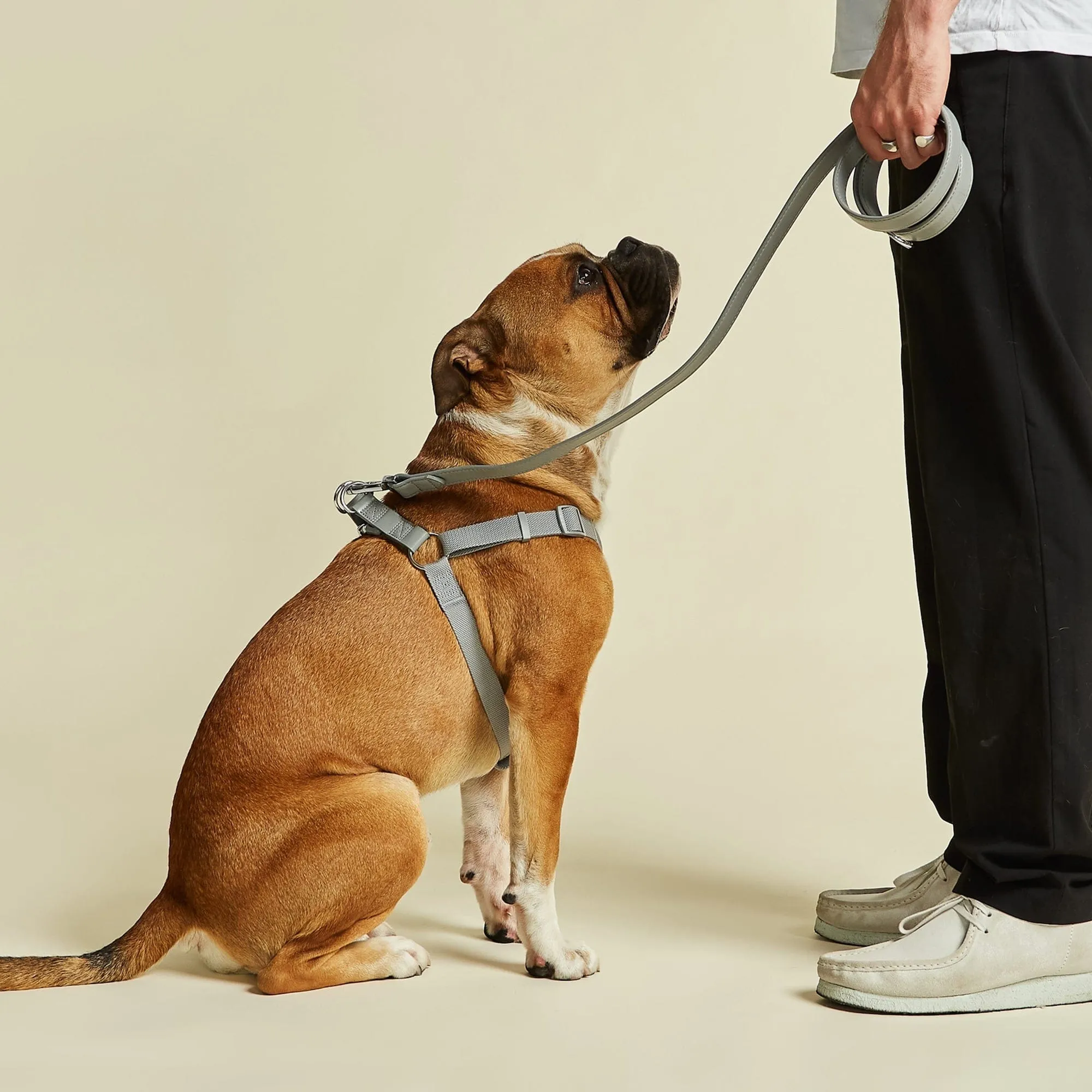 City Vegan Leather & Nylon Dog Collar, Harness & Lead Set | Ash Grey