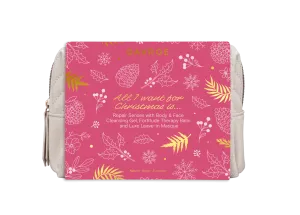 Davroe Repair Senses Holiday Travel Pack