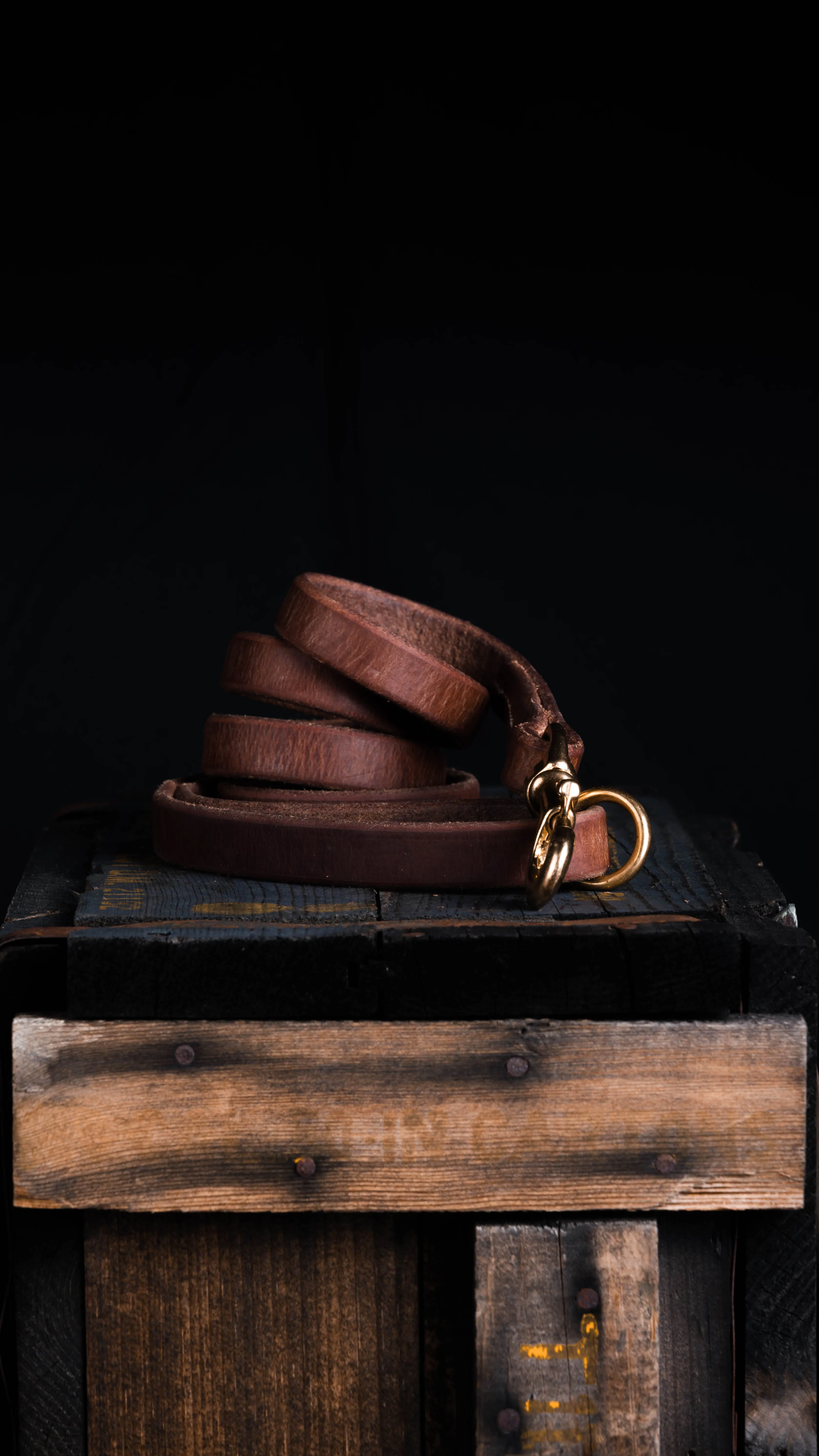 Dog Tack Leash
