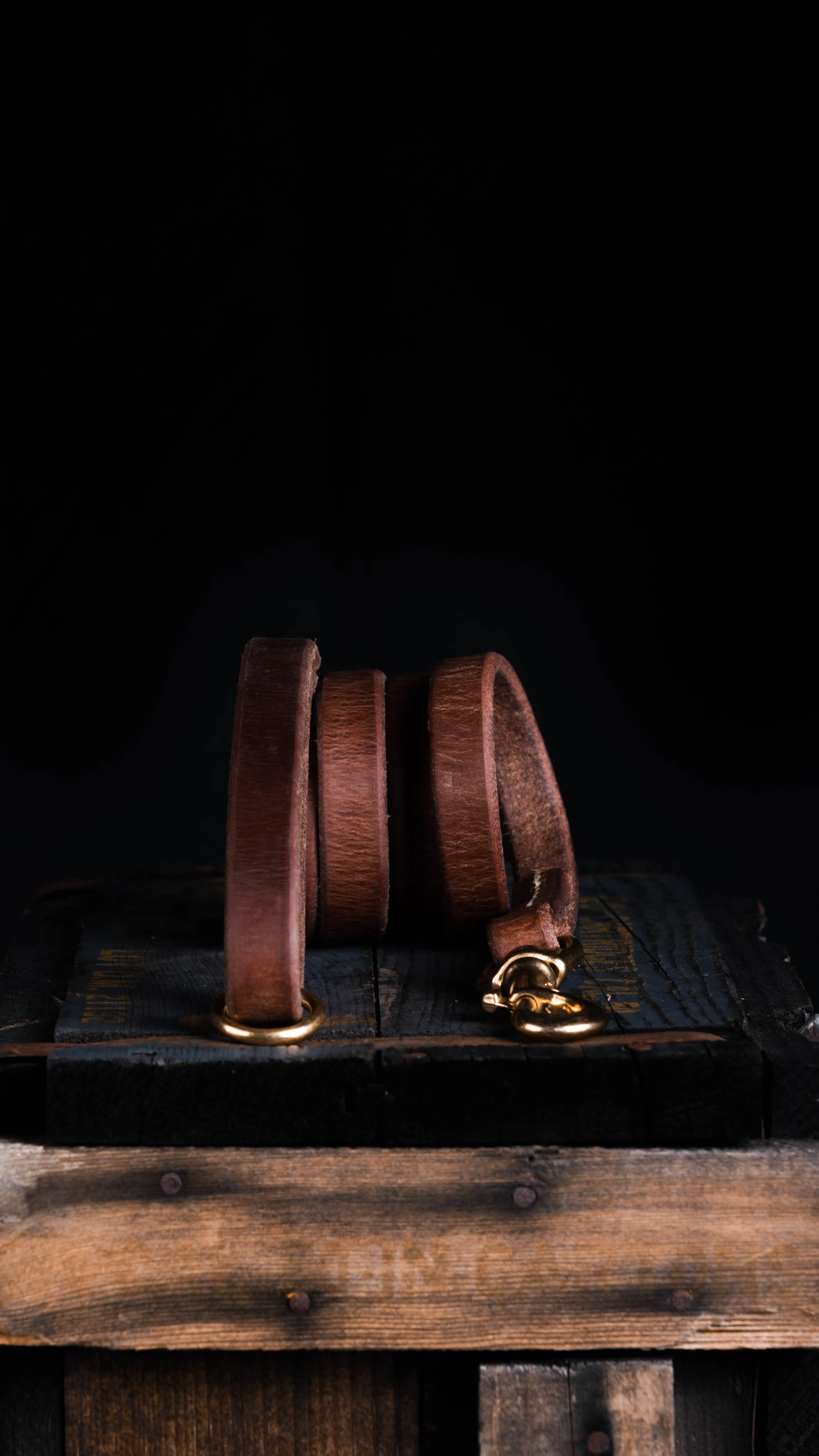 Dog Tack Leash