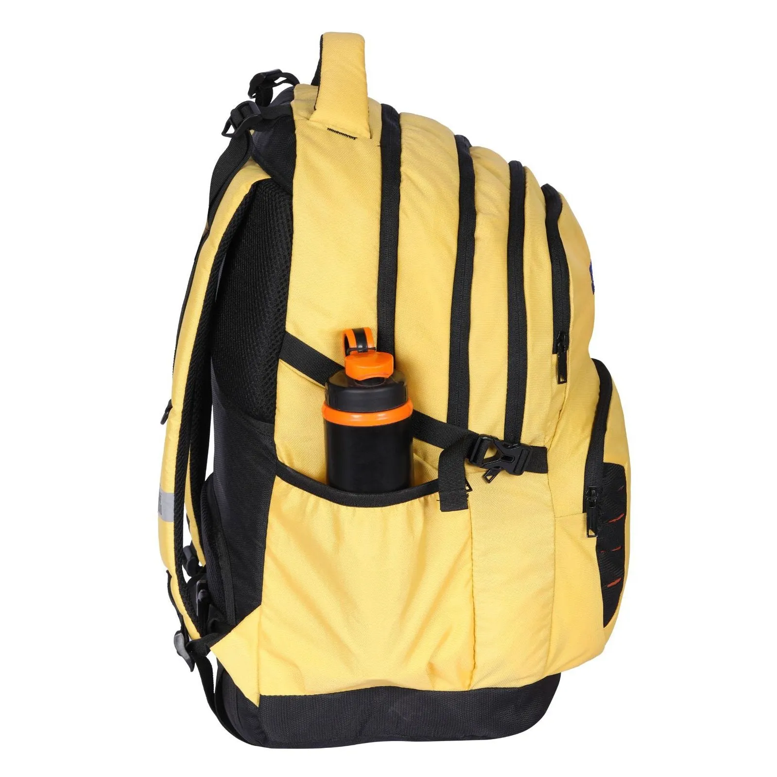 Dv Pro 5.21