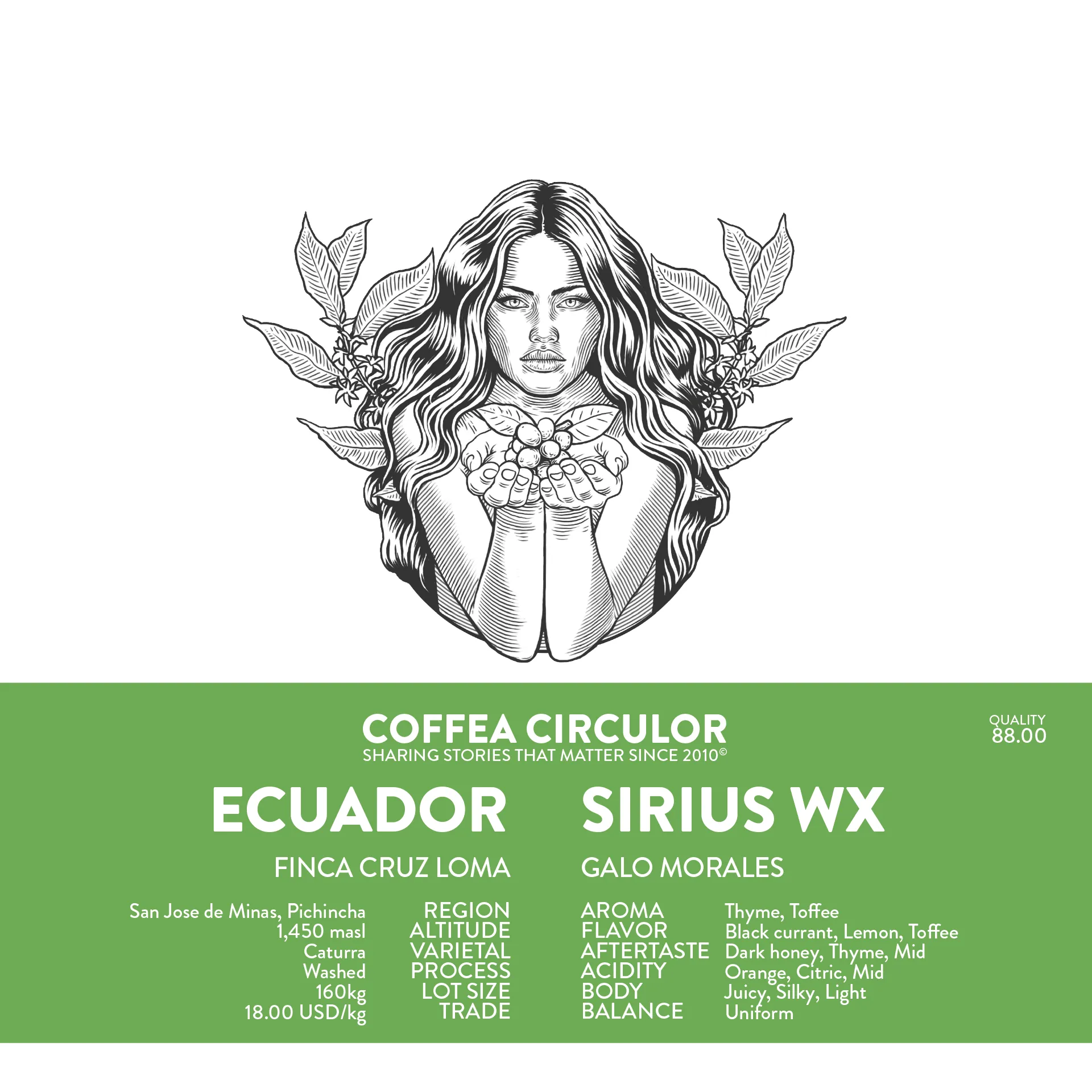 ECUADOR Sirius Caturra Washed WX