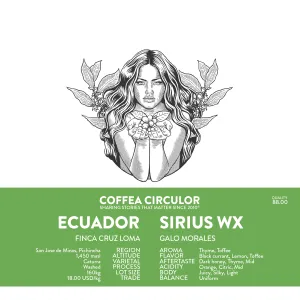 ECUADOR Sirius Caturra Washed WX