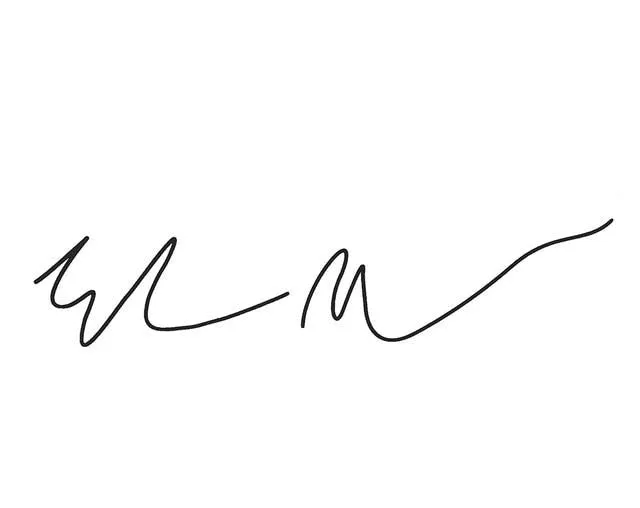 Elon Musk Signature Sticker For Tesla