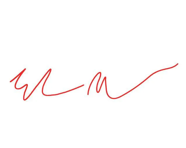 Elon Musk Signature Sticker For Tesla