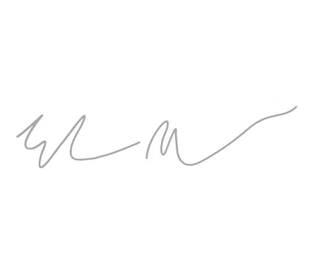 Elon Musk Signature Sticker For Tesla