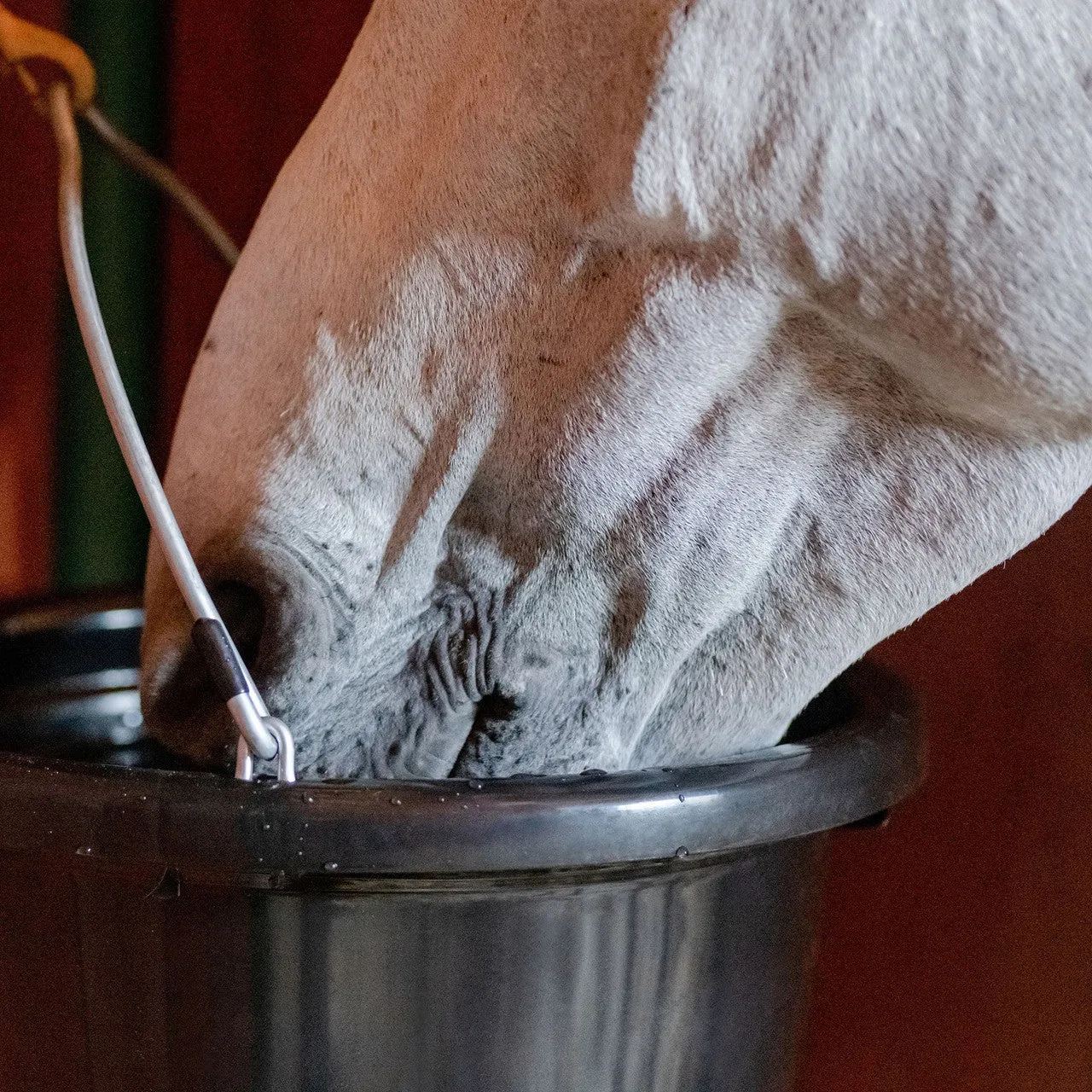 EquiFit AgSilver CleanBucket