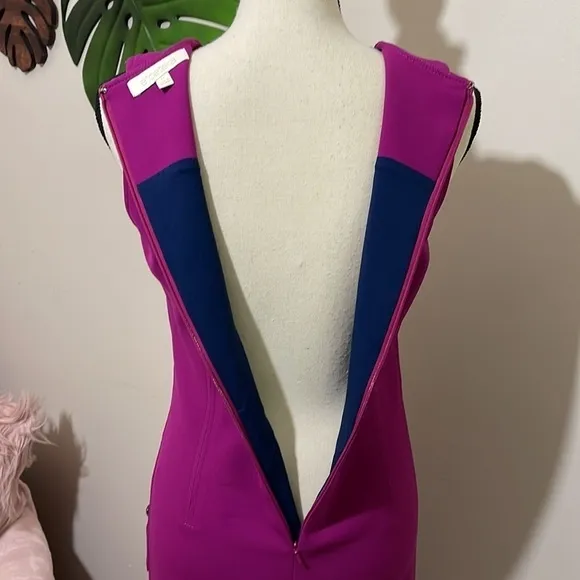 Etcetera Magenta Sleeveless Fitted Sheath Party Dress