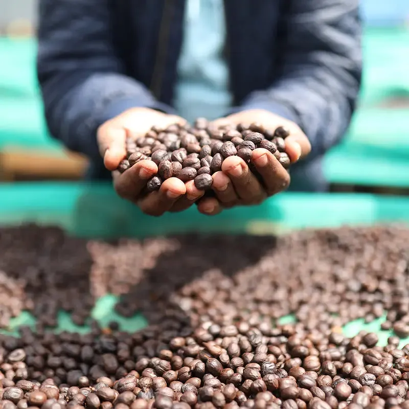 Ethiopian Yirgacheffe  Natural Aricha Arabica Roasted Coffee
