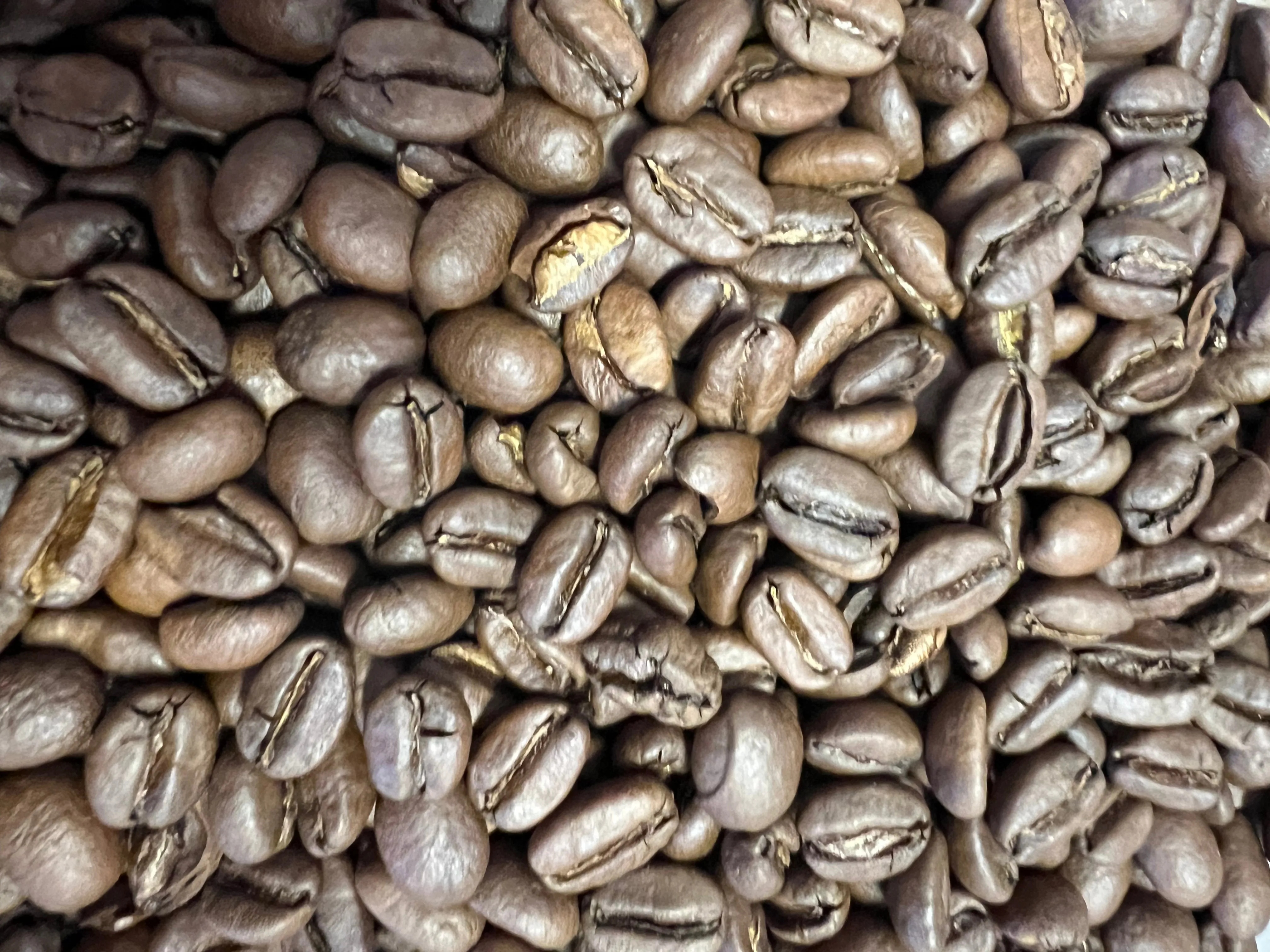 Ethiopian Yirgacheffe  Natural Aricha Arabica Roasted Coffee