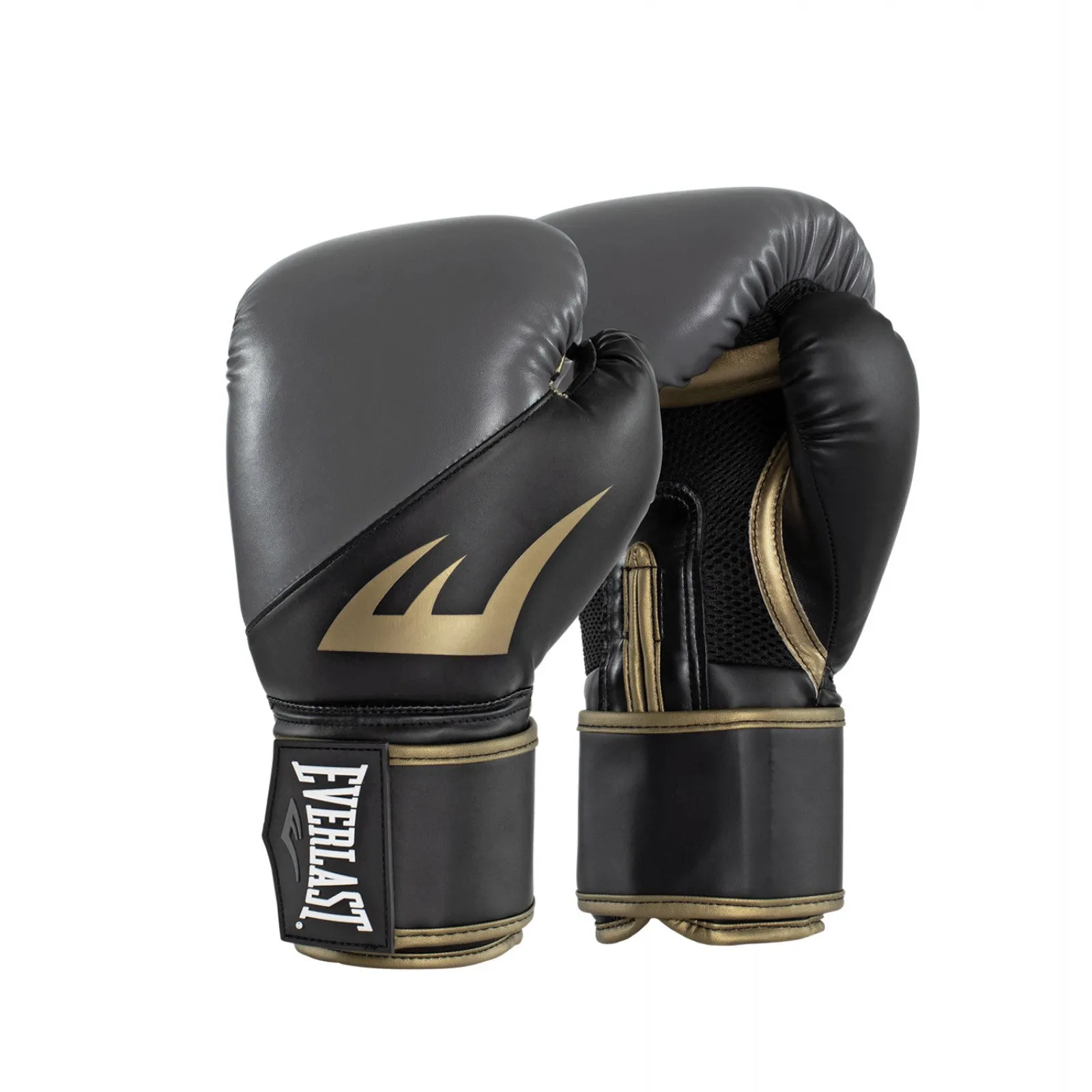 EVERLAST EX BOXING GLOVES
