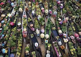 Floating Market 500pc Puzzle
