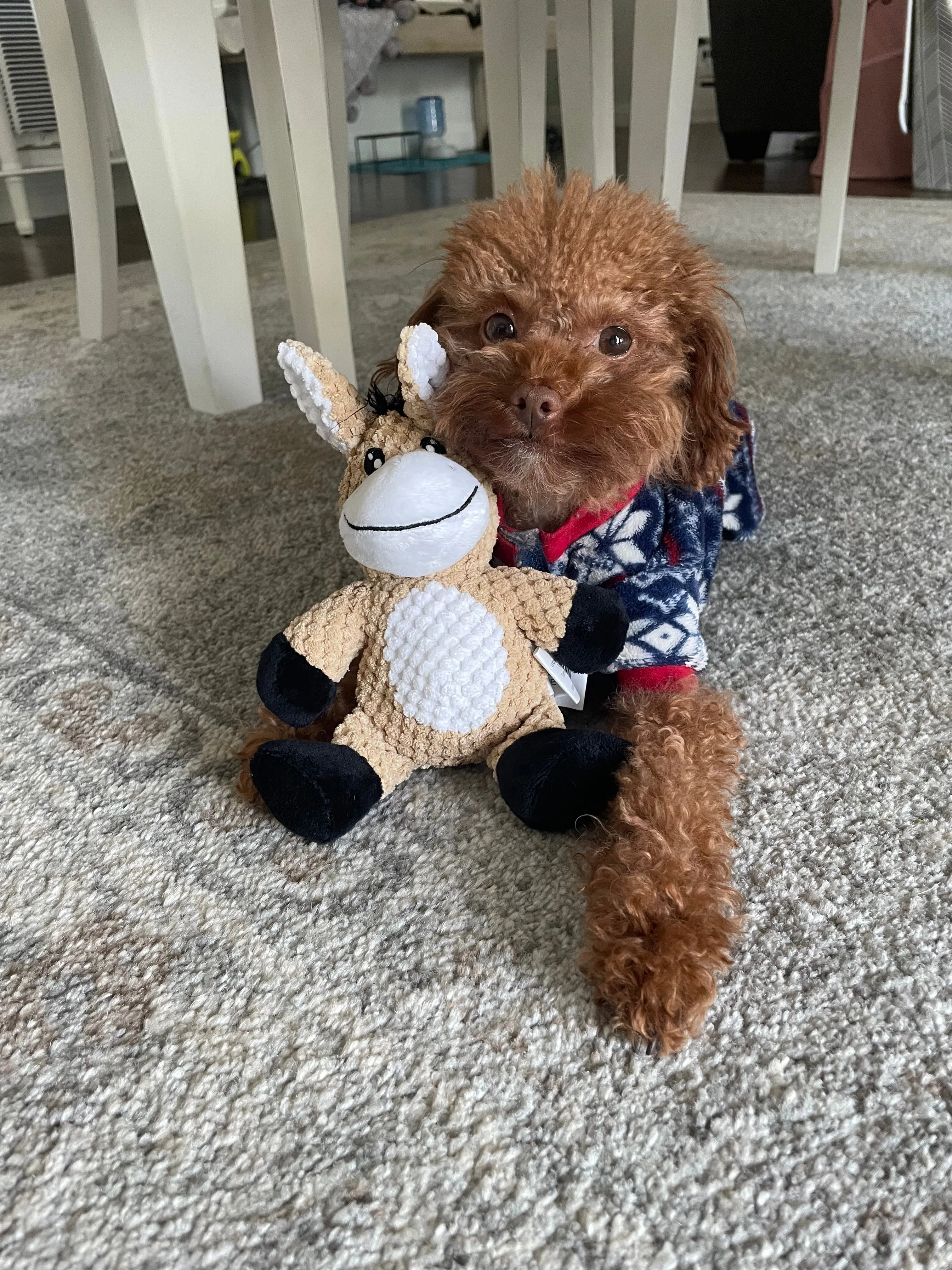 Glory To Dog Barnyard Donkey Plush Small Dog Toy