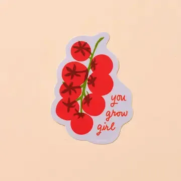 Graphic Design Vinyl Stickers