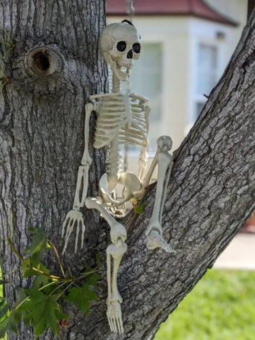 Halloween White Faux Skeleton Decoration