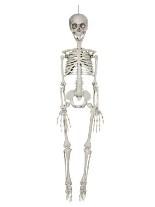 Halloween White Faux Skeleton Decoration