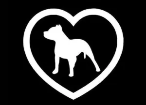 Heart Pit Bull sticker