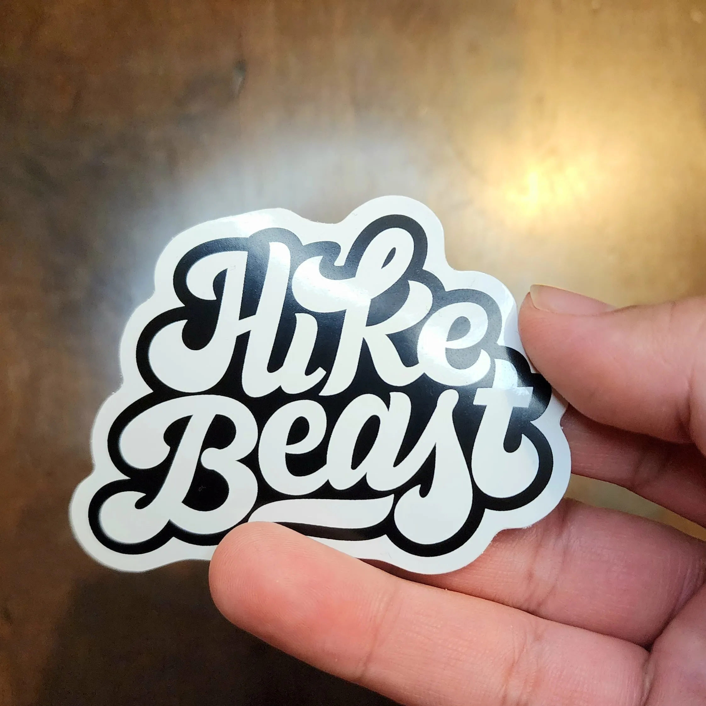 HIKE BEAST STICKERS